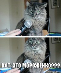  кот: это мороженко???