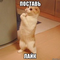 поставь лайк