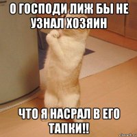 о господи лиж бы не узнал хозяин что я насрал в его тапки!!