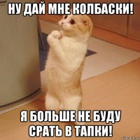 ну дай мне колбаски! я больше не буду срать в тапки!