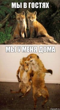 мы в гостях мы у меня дома