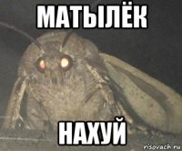 матылёк нахуй