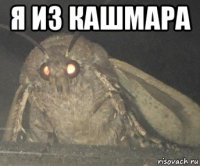 я из кашмара 