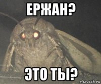 ержан? это ты?