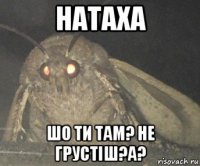 натаха шо ти там? не грустіш?а?