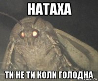 натаха ти не ти коли голодна