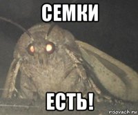 семки есть!