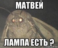 матвей лампа есть ?