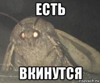 есть вкинутся