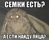 семки есть? а если найду яйца?