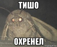 тишо охренел