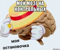 мой мозг на контрольных 