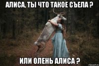 алиса, ты что такое съела ? или олень алиса ?