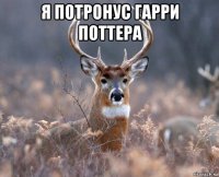 я потронус гарри поттера 