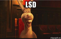 lsd 