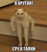 я крутой! сру в тапки