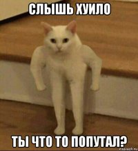 слышь хуило ты что то попутал?