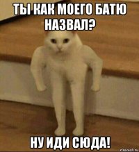 ты как моего батю назвал? ну иди сюда!