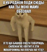 а ну родной поди сюды как ты мою маму обозвал я те ща башню снесу говоришь силёнок не хватит а эти макаронины на плечах на что?