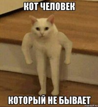 кот человек который не бывает