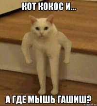 кот кокос и... а где мышь гашиш?