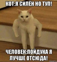 кот:я силён но туп! человек:пойдука я лучше отсюда!