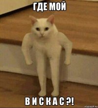 где мой в и с к а с ?!