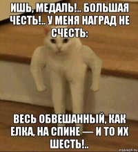 ишь, медаль!.. большая честь!.. у меня наград не счесть: весь обвешанный, как елка, на спине — и то их шесть!..