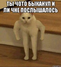 ты чото быканул и ли чне послышалось 