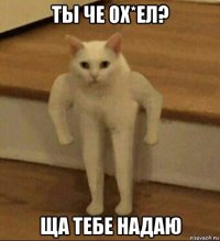 ты че ох*ел? ща тебе надаю