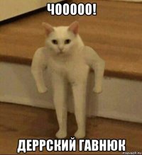 чооооо! деррский гавнюк