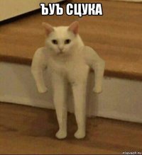 ъуъ сцука 