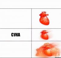  сука 