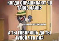 когда спрашивают чо такое майн? а ты говоришь да ты тупой что ли?