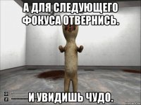 а для следующего фокуса отвернись. и увидишь чудо.