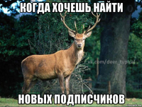 когда хочешь найти новых подписчиков