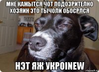 мне кажытся чот подозрително хозяин это тычоли обосрлся нэт яж укрoinew