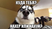 куда тебя? нахер или нахуй?