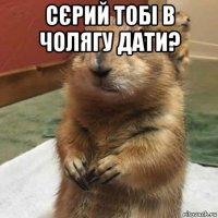 сєрий тобі в чолягу дати? 