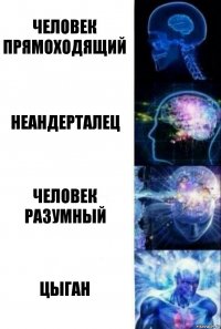 Человек прямоходящий Неандерталец Человек разумный Цыган