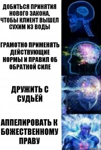 Добиться принятия нового закона,
чтобы клиент вышел сухим из воды Грамотно применять действующие нормы и правил об обратной силе Дружить с судьёй Аппелировать к божественному праву