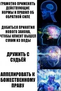 Грамотно применять действующие нормы и правил об обратной силе Добиться принятия нового закона,
чтобы клиент вышел сухим из воды Дружить с судьёй Аппелировать к божественному праву