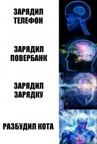 зарядил телефон зарядил повербанк зарядил зарядку разбудил кота