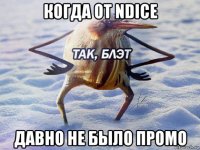 когда от ndice давно не было промо