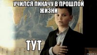 учился пикачу в прошлой жизни 