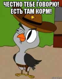 честно тебе говорю! есть там корм! 