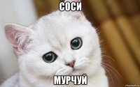 соси мурчуй