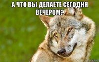 а что вы делаете сегодня вечером? 