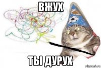 вжух ты дурух