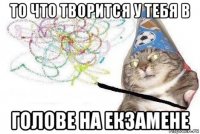 то что творится у тебя в голове на екзамене